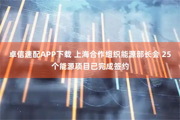 卓信速配APP下载 上海合作组织能源部长会 25个能源项目已完成签约