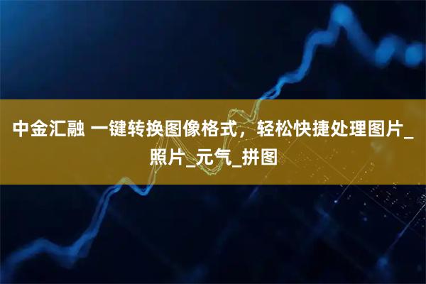 中金汇融 一键转换图像格式，轻松快捷处理图片_照片_元气_拼图