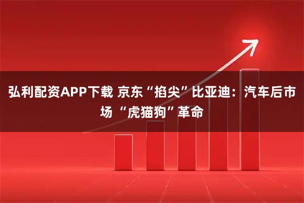 弘利配资APP下载 京东“掐尖”比亚迪：汽车后市场 “虎猫狗”革命