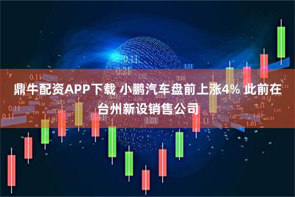 鼎牛配资APP下载 小鹏汽车盘前上涨4% 此前在台州新设销售公司