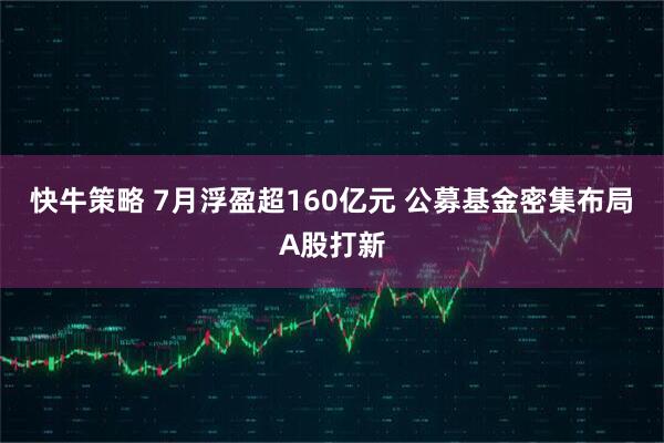 快牛策略 7月浮盈超160亿元 公募基金密集布局A股打新